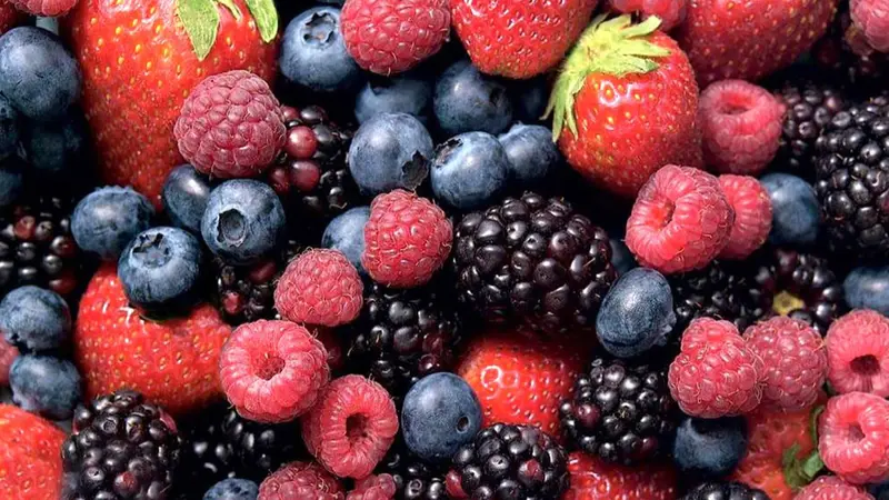 Berries antioksidan tinggi
